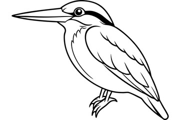 kingfisher line art silhouette vector illustration