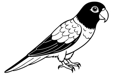 lorikeet line art silhouette vector illustration