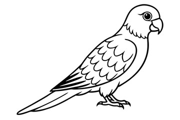 lorikeet line art silhouette vector illustration
