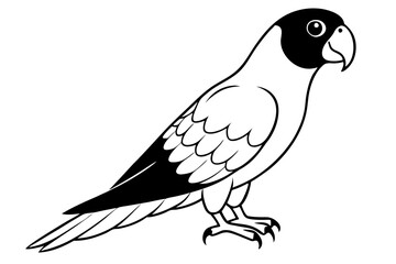 lorikeet line art silhouette vector illustration