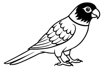 lorikeet line art silhouette vector illustration