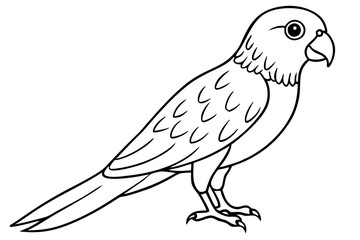 lorikeet line art silhouette vector illustration