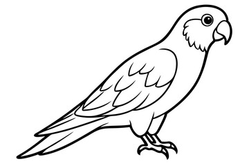 lorikeet line art silhouette vector illustration