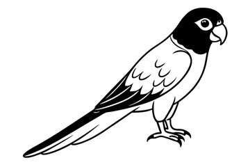 lorikeet line art silhouette vector illustration
