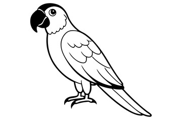 macaw line art silhouette vector illustration