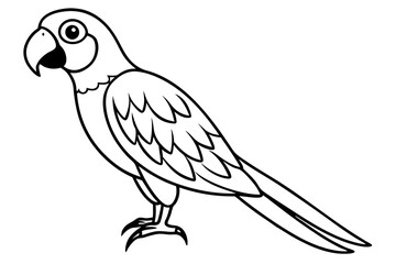 macaw line art silhouette vector illustration