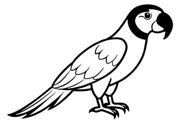 macaw line art silhouette vector illustration