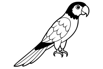 macaw line art silhouette vector illustration
