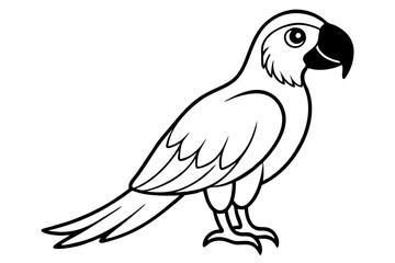 macaw line art silhouette vector illustration