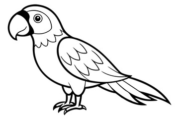 macaw line art silhouette vector illustration