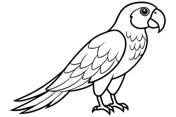 macaw line art silhouette vector illustration