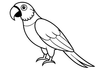 macaw line art silhouette vector illustration