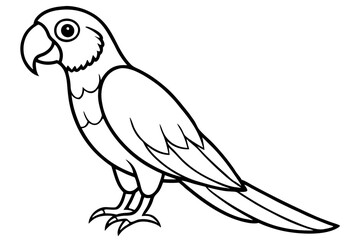 macaw line art silhouette vector illustration