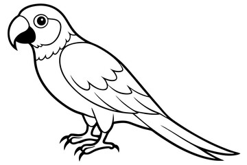 macaw line art silhouette vector illustration