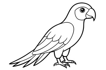 macaw line art silhouette vector illustration