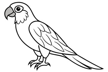 macaw line art silhouette vector illustration