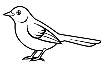 macaw line art silhouette vector illustration
