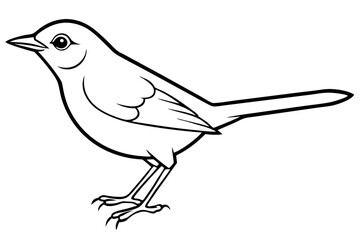 nightingale line art silhouette vector illustration