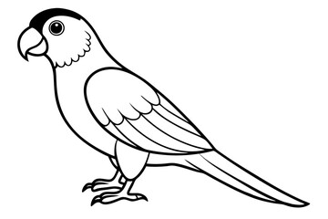 Obraz premium parrot line art silhouette vector illustration