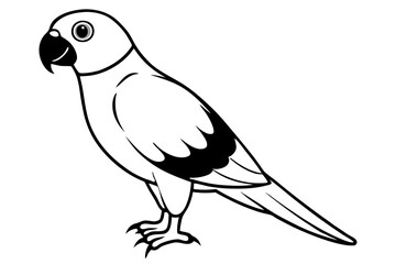 parrot line art silhouette vector illustration