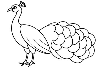 peacock line art silhouette vector illustration