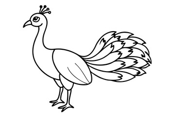 peacock line art silhouette vector illustration