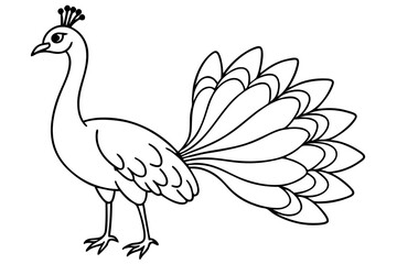peacock line art silhouette vector illustration