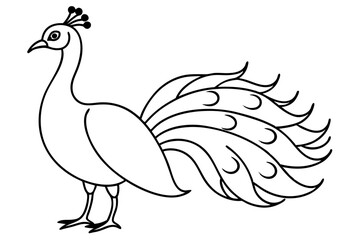 peacock line art silhouette vector illustration