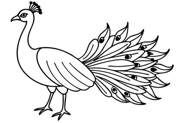 peacock line art silhouette vector illustration