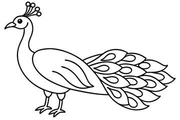 peacock line art silhouette vector illustration