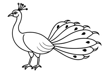 peacock line art silhouette vector illustration