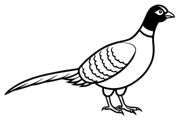 pheasant line art silhouette vector illustration