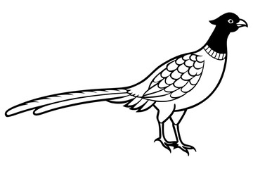 pheasant line art silhouette vector illustration
