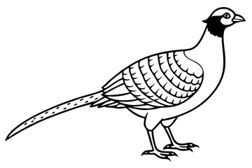 Obraz premium pheasant line art silhouette vector illustration
