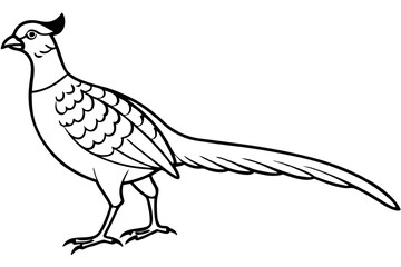 pheasant line art silhouette vector illustration