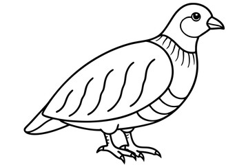 quail line art silhouette vector illustration