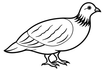 quail line art silhouette vector illustration