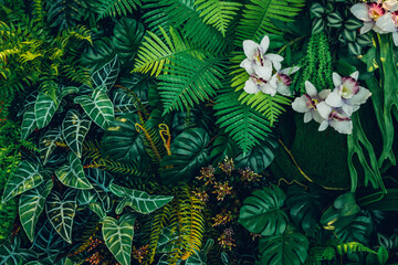 Close-up background of vibrant green leaves with rich textures, creating a bright and fresh natural atmosphere with an exotic botanical pattern.