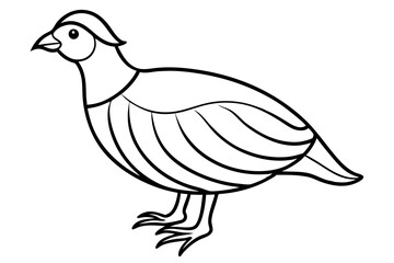 quail line art silhouette vector illustration