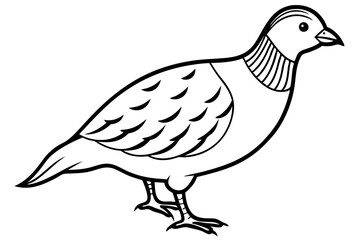quail line art silhouette vector illustration
