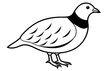 quail line art silhouette vector illustration