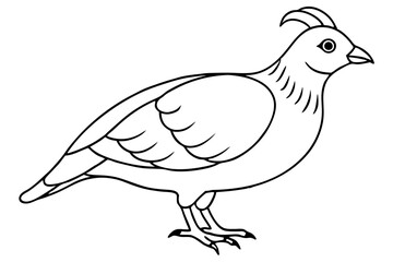 quail line art silhouette vector illustration