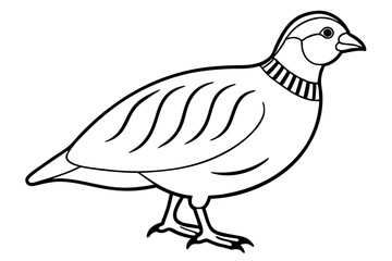 quail line art silhouette vector illustration