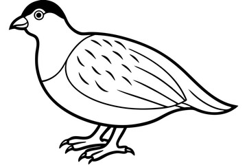 quail line art silhouette vector illustration