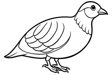 quail line art silhouette vector illustration