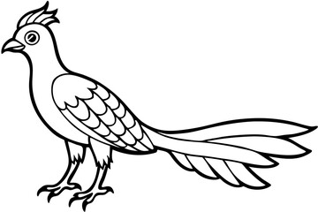 quetzal line art silhouette vector illustration