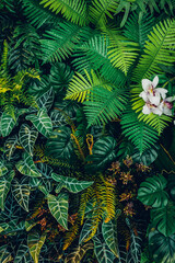 Close-up background of vibrant green leaves with rich textures, creating a bright and fresh natural atmosphere with an exotic botanical pattern.