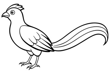 quetzal line art silhouette vector illustration