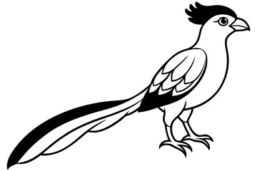 quetzal line art silhouette vector illustration