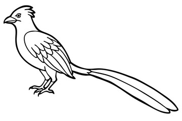 Fototapeta premium quetzal line art silhouette vector illustration